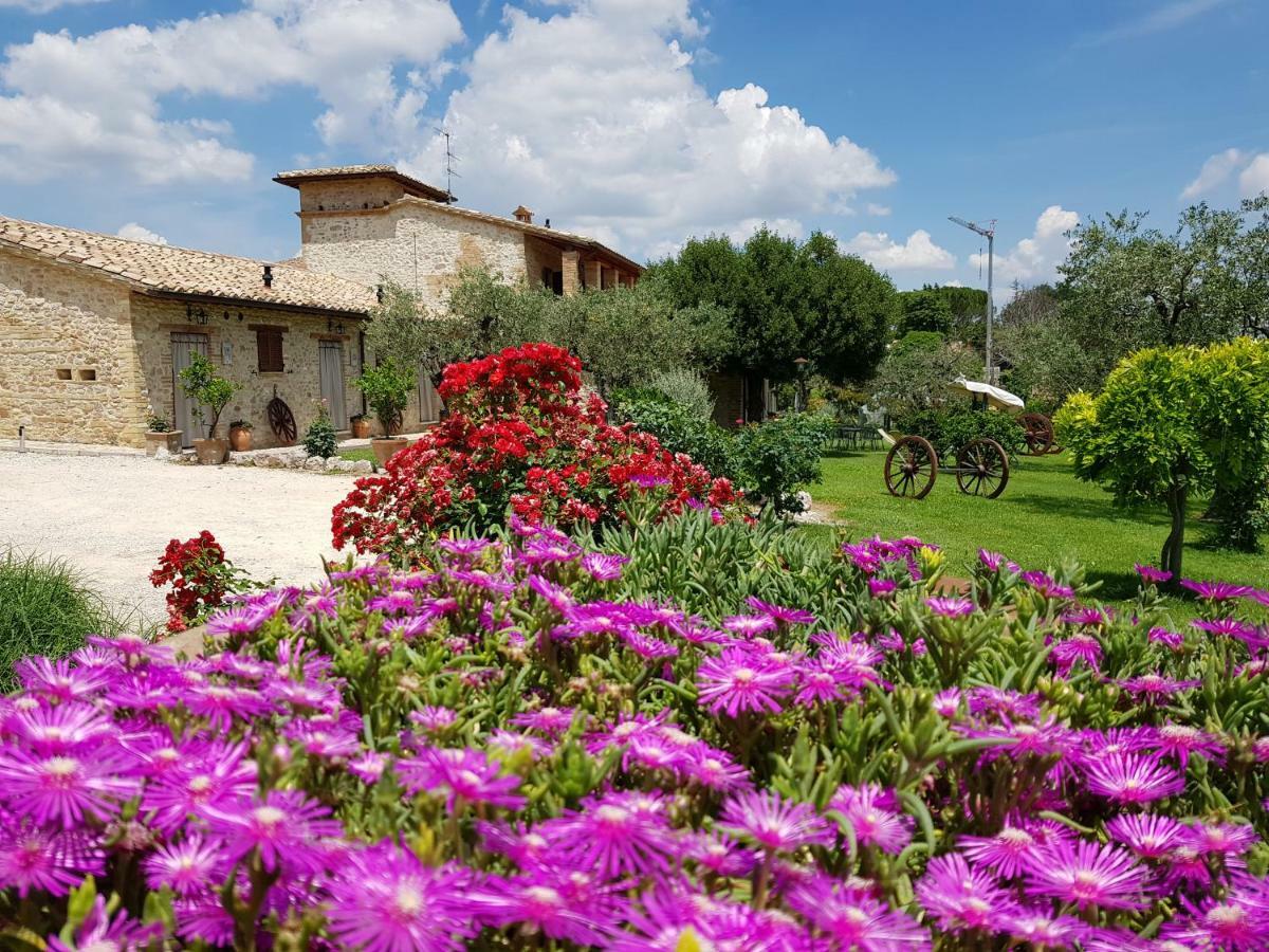 Agriturismo Arcobaleno Della Torretta Giano dellʼUmbria Екстериор снимка